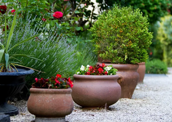 Giardino 3*