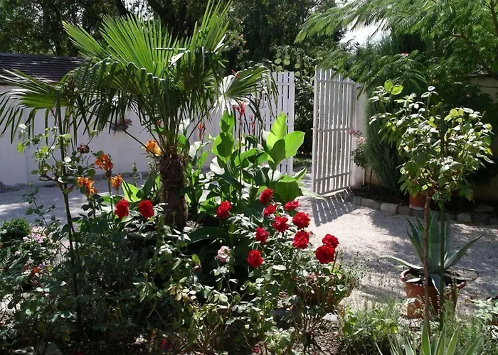 Giardino