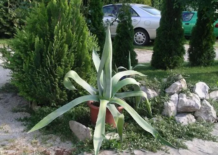 Hotel Giardino Balatongyörök